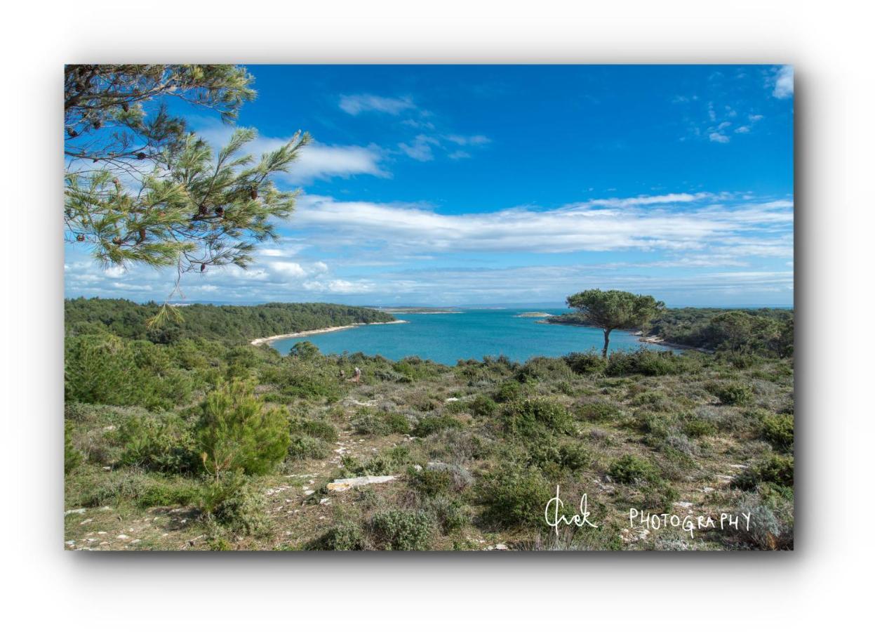 Bonvenon2volme Apt&room Pula