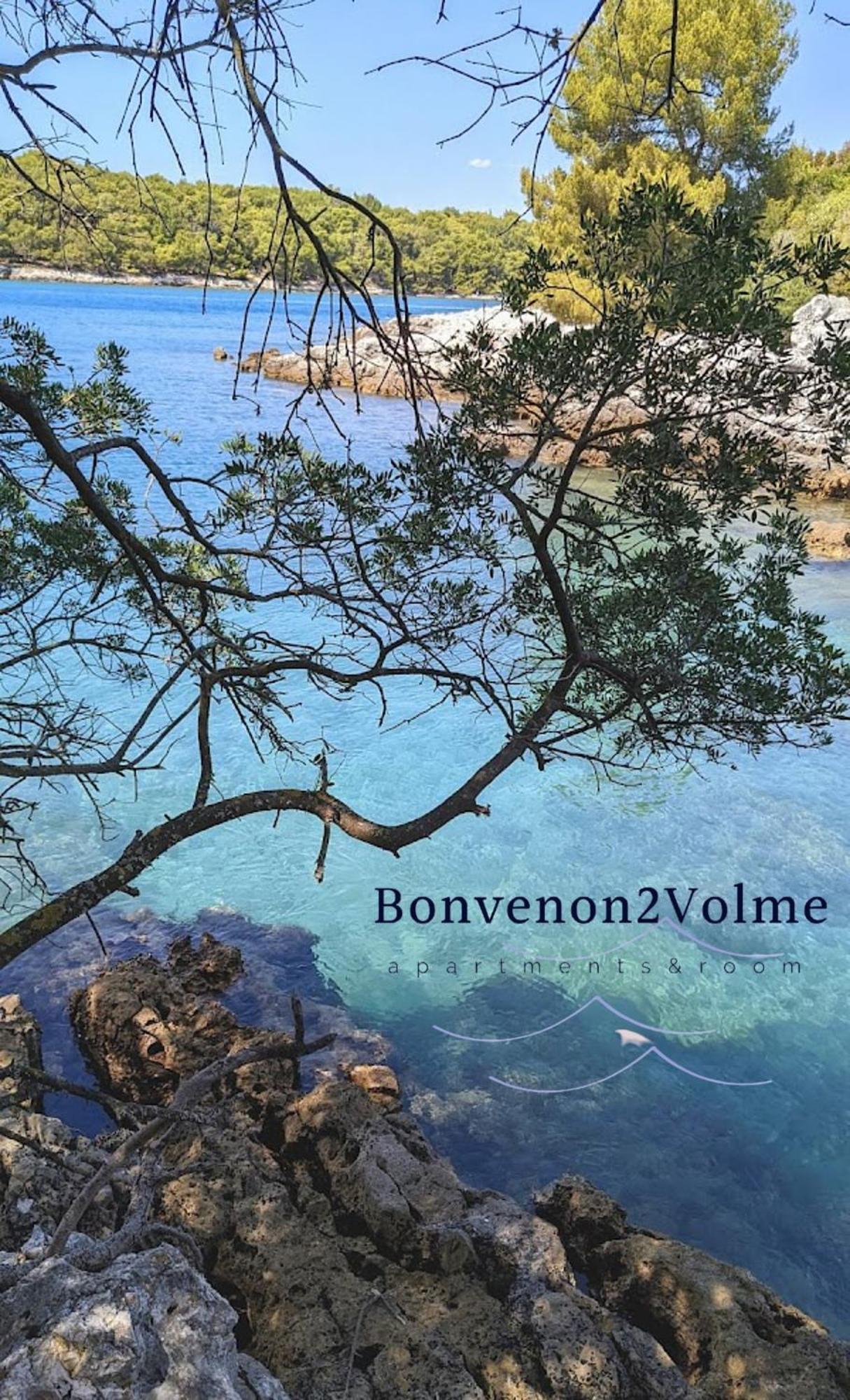Bonvenon2volme Apt&room Apartment *